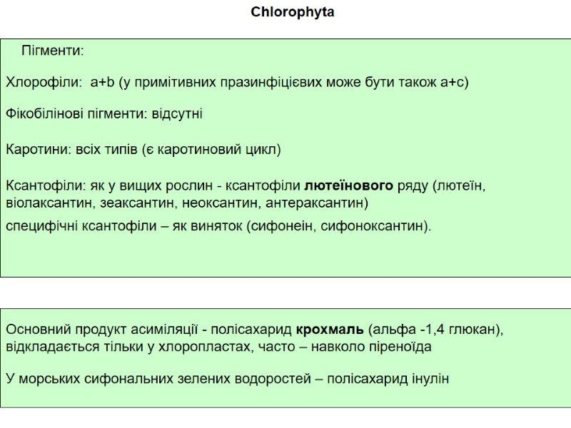 Chlorophyta Хлорофіли:  а+b (у примітивних празинфіцієвих може бути також а+с) Ксантофіли: як у